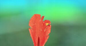 Kreativita: Jak ji rozvíjet a využívat ve svém každodenním životě