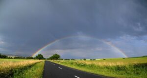 Tradiční česká bramborová polévka s houbami