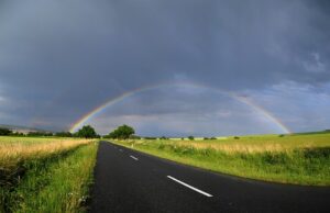 Tradiční česká bramborová polévka s houbami