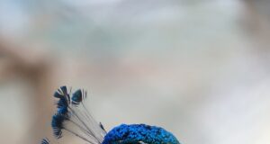 Krása očima umění: Jak se můžeme inspirovat estetikou výtvarných děl