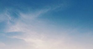 Bojová umění jako sport: Soutěžení, výkonnost a olympijské hry