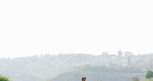 Kulajda – tradiční česká polévka