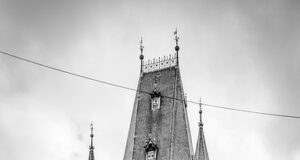 Tradiční český svíčková na smetaně