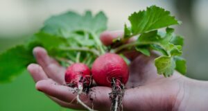 Trendy recepty: Co vaříme letos?