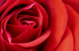 Proč je důležité pečovat o své tělo: Krása začíná uvnitř