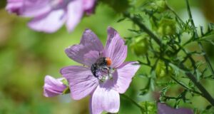 Bojová umění jako cesta k sebepoznání: Jak zlepšit fyzickou a mentální sílu