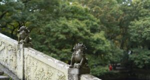 Svět bojových umění: Od tradičních forem po moderní směry