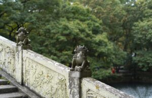 Svět bojových umění: Od tradičních forem po moderní směry