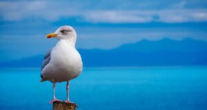 Harmonie těla a mysli: Jak se relaxací a meditací dostat k vnější kráse