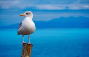 Harmonie těla a mysli: Jak se relaxací a meditací dostat k vnější kráse
