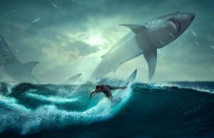 Sportovní psychologie: Jak se dostat do správného mindsetu pro úspěch