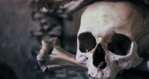 Bramborový guláš s houbami: Tradiční chuť České kuchyně