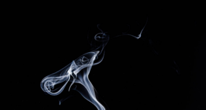 Cesta silného ducha: Tajemství bojových umění