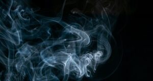 7 zásad bojových umění pro úspěch ve vášdích