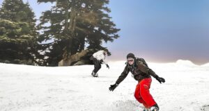 – Výhody a nevýhody tréninku v posilovně vs. venku v přírodě