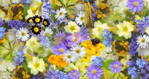 Najděte svůj vlastní styl krásy: Jak se vyjádřit pomocí make-upu a módy