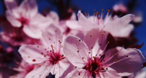 Jak překonat bloky a překážky při hledání kreativních řešení