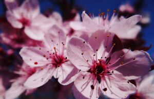 Jak překonat bloky a překážky při hledání kreativních řešení