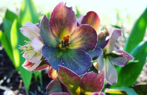 Jak využít kreativitu pro dosahování profesionálních cílů a úspěchu