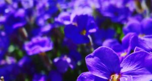 6 tipů, jak odstranit bloky a rozvinout svou kreativitu