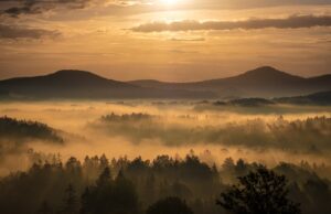 Domácí česká klasika: Vepřo knedlo zelo