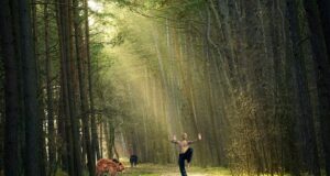 – Význam bojových umění ve světě sebeobrany