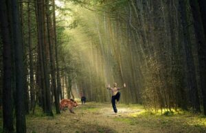 – Význam bojových umění ve světě sebeobrany