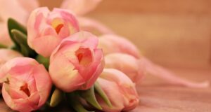 Nejnovější trendy v péči o pleť a vlasy pro dokonalý vzhled