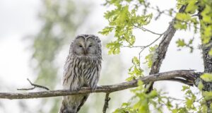 Oslovující krása: Jak být sebevědomá a krásná zároveň