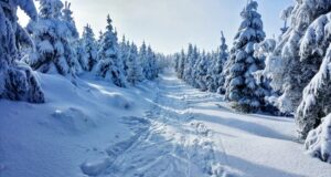 Klasická svíčková na smetaně se šťouchanými bramborami
