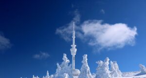 Tradiční české kyselé zelí se smaženým vepřovým masem